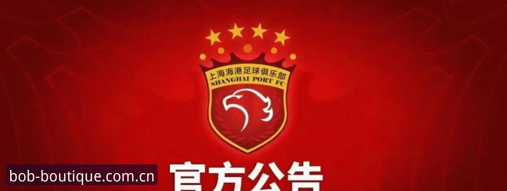 从足协禁足名单看体育行业规范——半岛体育平台用户深度解读指南